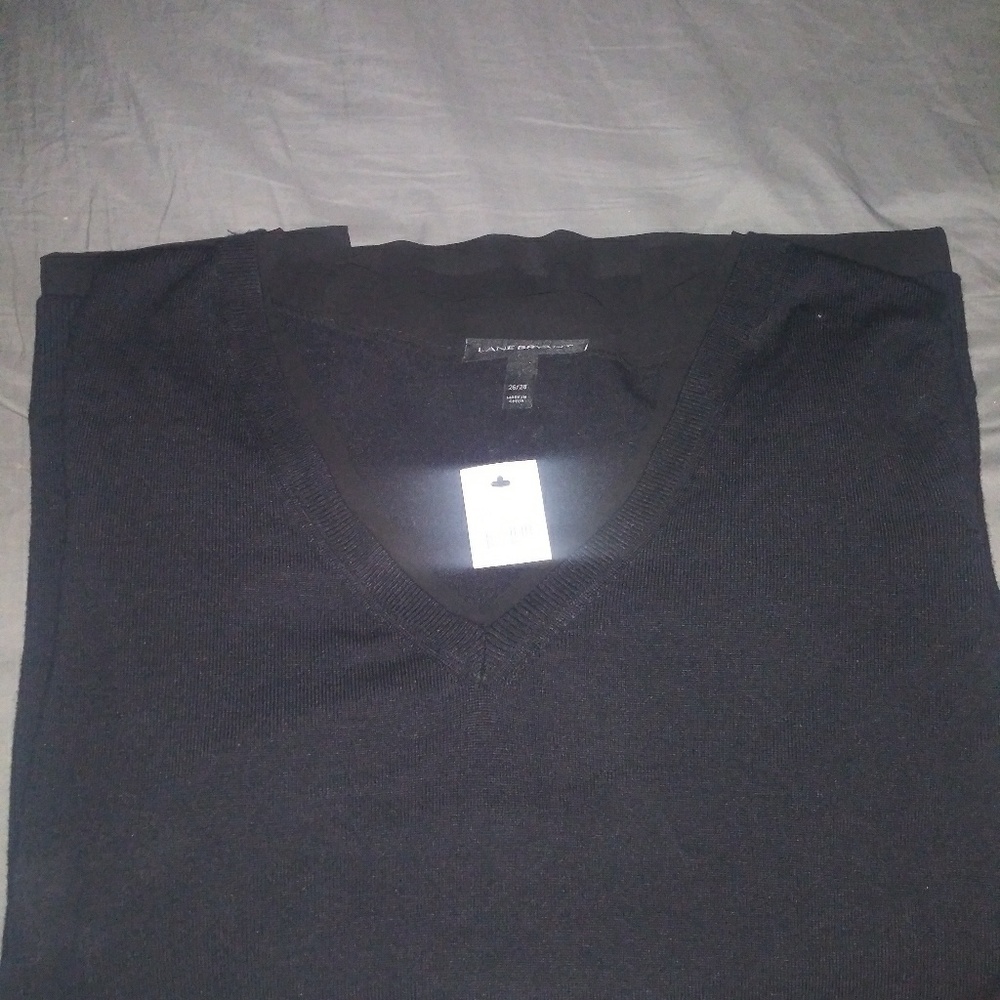 Plus size womens vneck sweater